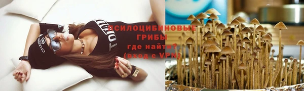 стаф Алексеевка