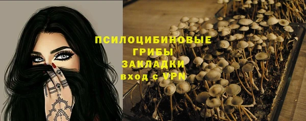 apvp Горнозаводск