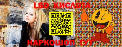 ПСИЛОЦИБИНОВЫЕ ГРИБЫ Пушкино