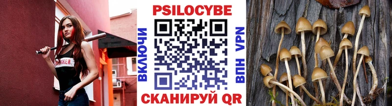 Галлюциногенные грибы мицелий  Чапаевск 