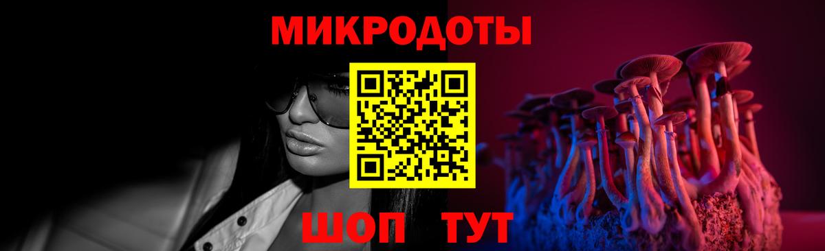 купить наркотики сайты  Галлюциногенные грибы Psilocybe  Вход с VPN  Чапаевск 